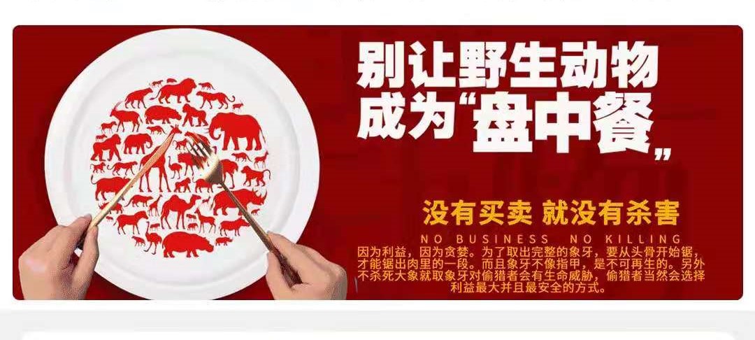禁止食用野生
