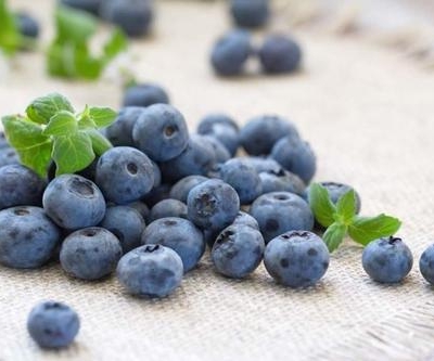 大蓝莓（一盒）