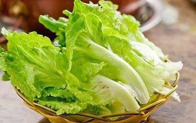 生菜