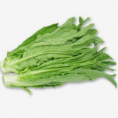 油麦菜