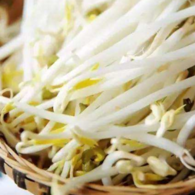豆芽
