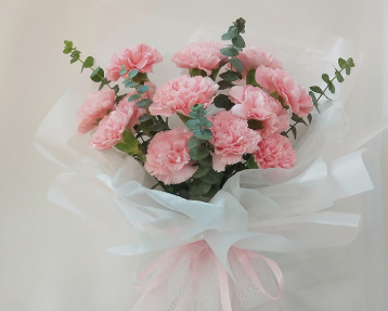 时光美人-11枝粉色康乃馨鲜花花束