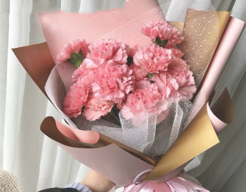 母情节热销-11枝粉康乃馨鲜花束