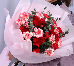 教无常师-19枝混搭康乃馨搭配尤加利叶花束