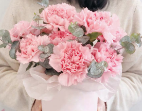 爱的抱抱-11枝粉康乃馨鲜花