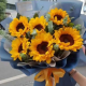 元气满满-6枝向日葵搭配尤加利叶花束