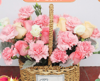 馨意无限-19枝粉康乃馨粉玫瑰混搭鲜花