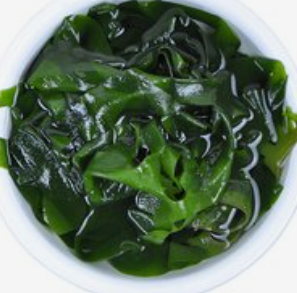 海裙菜