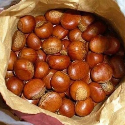 糖炒板栗（热的）