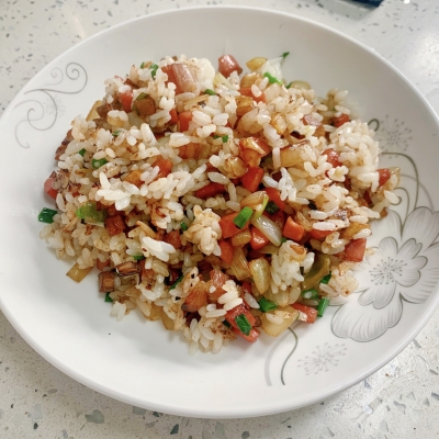 洋葱回锅炒饭