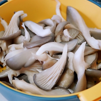 平菇