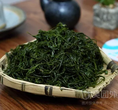 海草