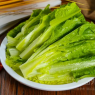 凤尾