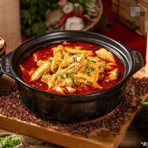 c吮指鸡尖煲