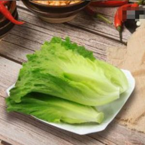 生菜
