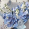 蝴蝶兰花束