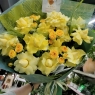 黄玫瑰花束