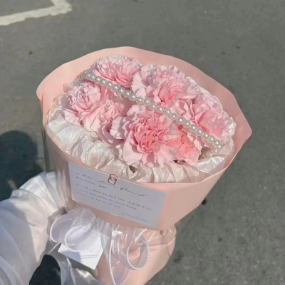 小香风康乃馨花束