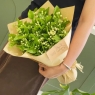 茉莉花束