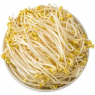 豆芽