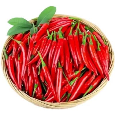 小米椒