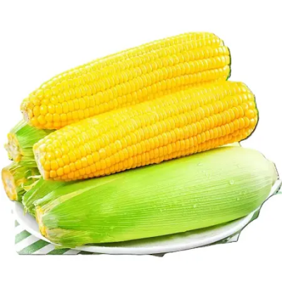 玉米