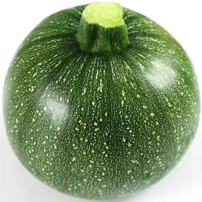 小南瓜