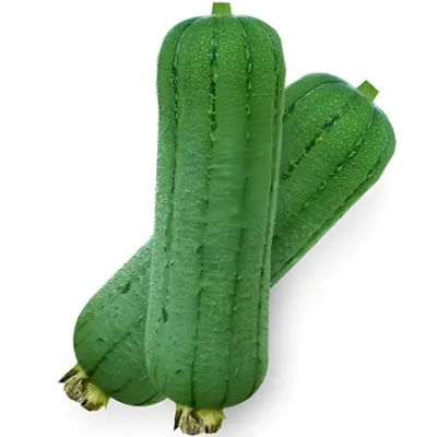 丝瓜