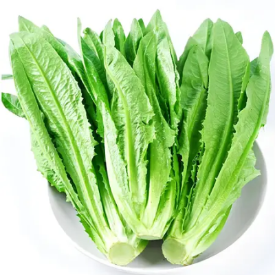 油麦菜