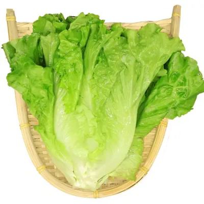 生菜