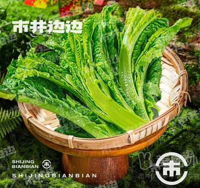 凤尾（60g）