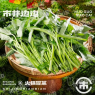 空心菜（60g）