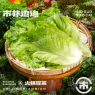 生菜（50g）