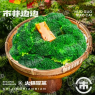 西兰花（约55g）