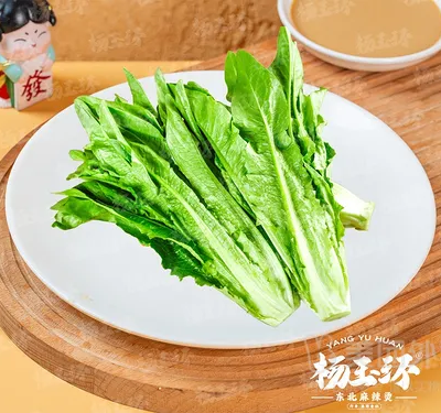凤尾