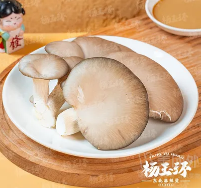 平菇（56g）