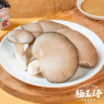 平菇（56g）